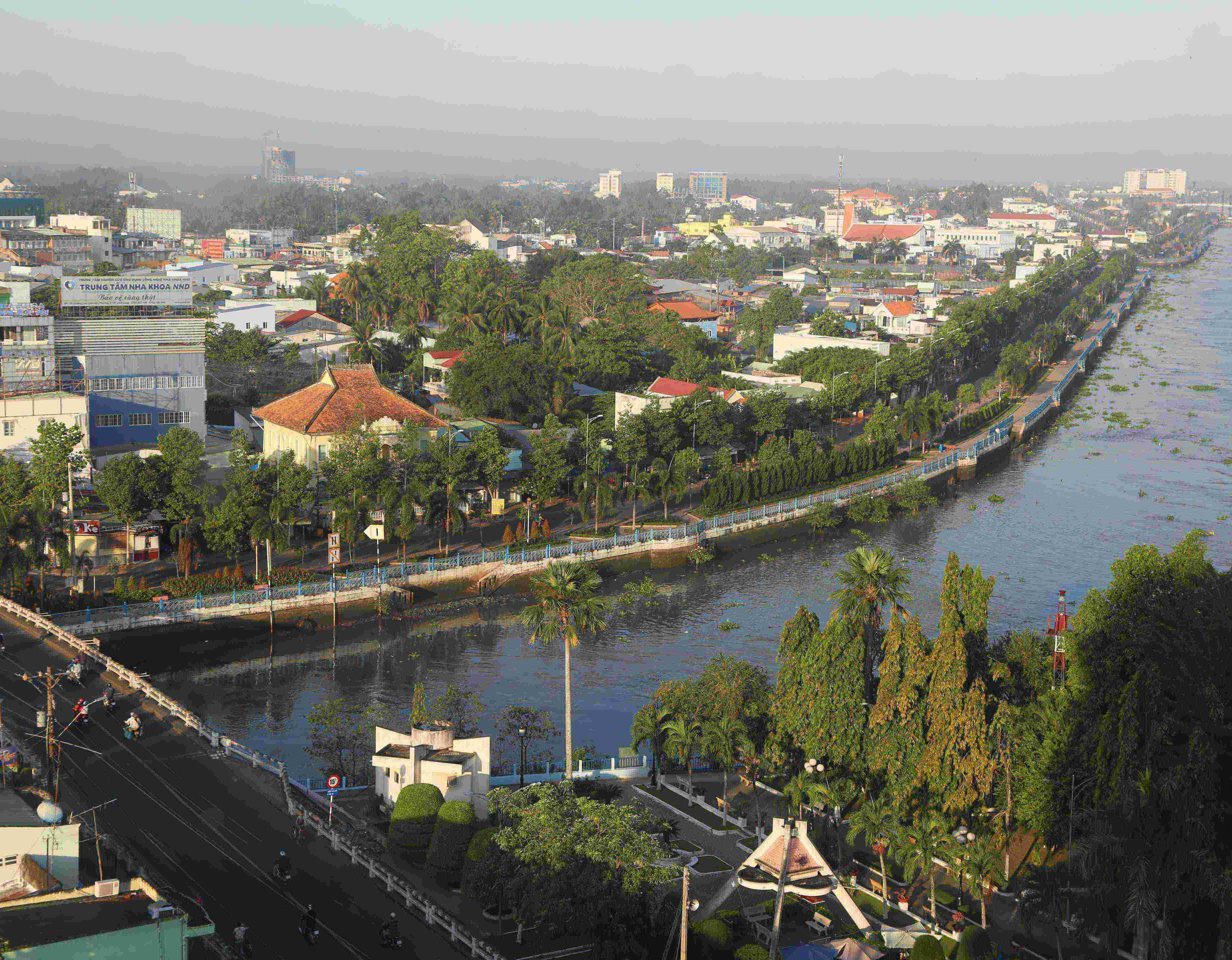 Bông sứ trắng bên dòng Cổ Chiên